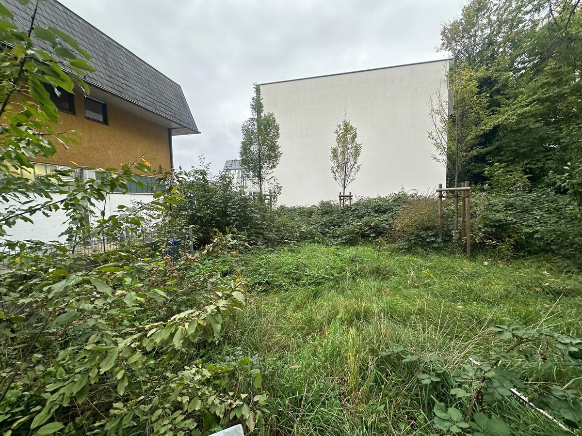 Vorher 5