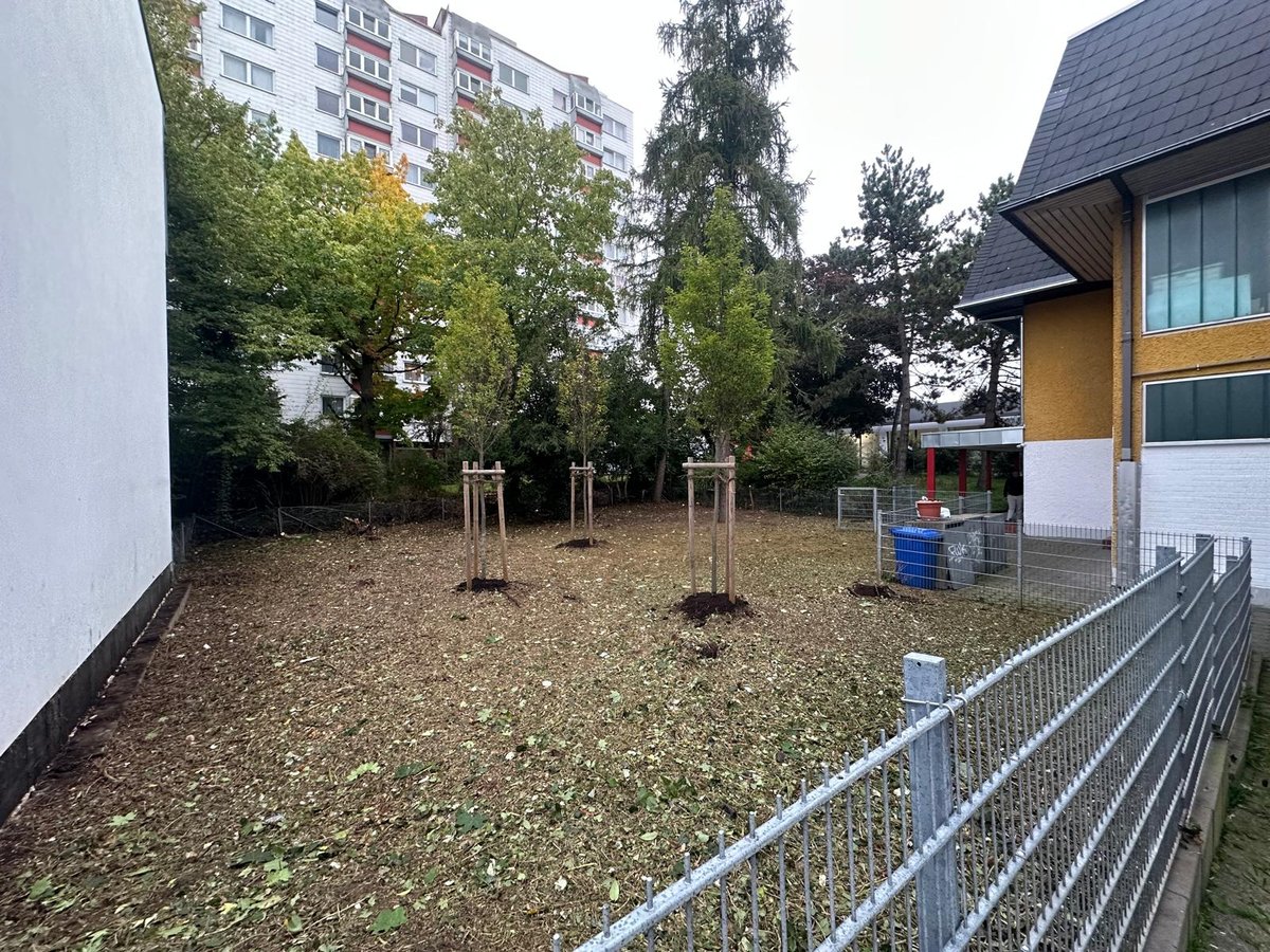 Nachher 9