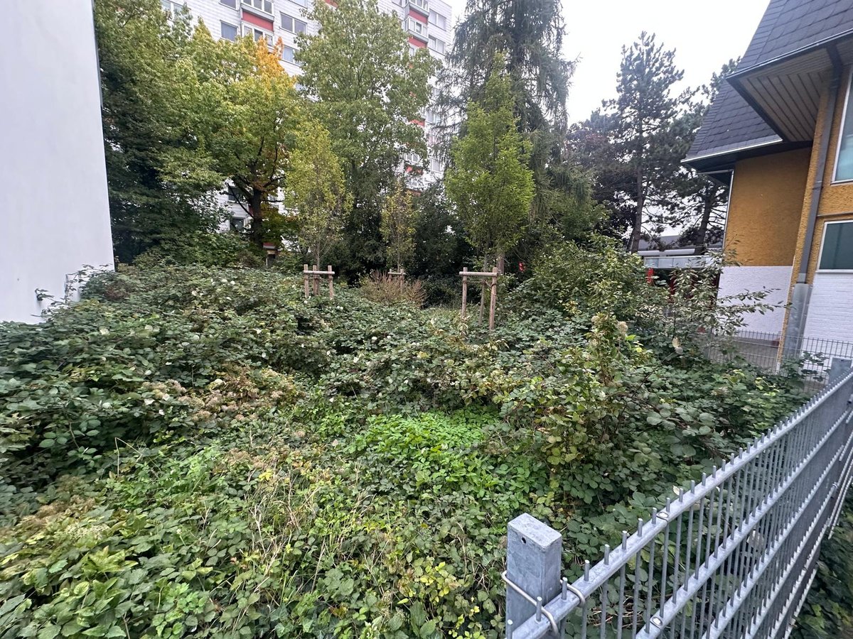 Vorher 9
